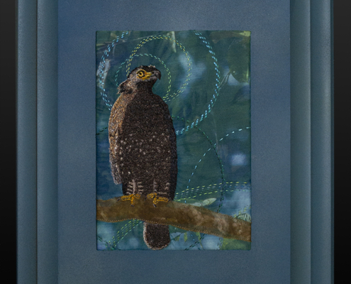 Crested Serpent Eagle by Christina Fairley Erickson